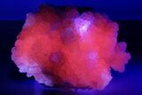 Superb Manganoan Calcite Crystal Cluster - Highly Fluorescent! #347659-1
